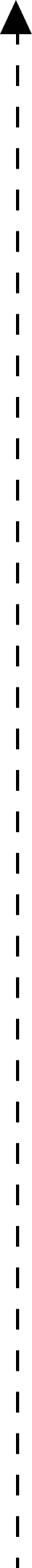vertical graph line