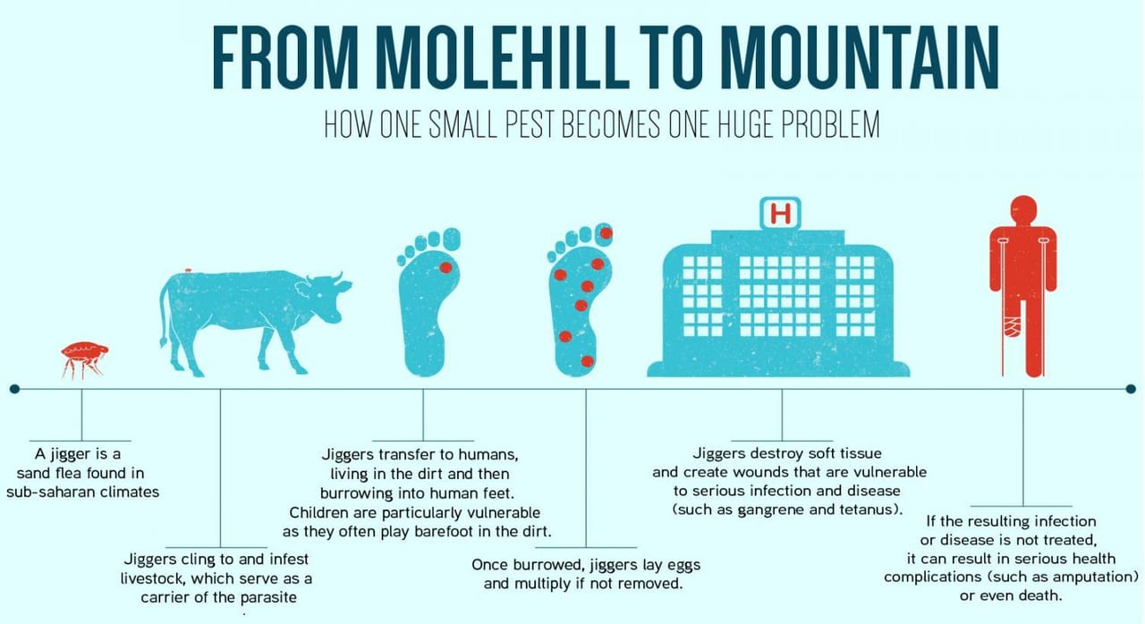 Bsm Sh Infographic2 0