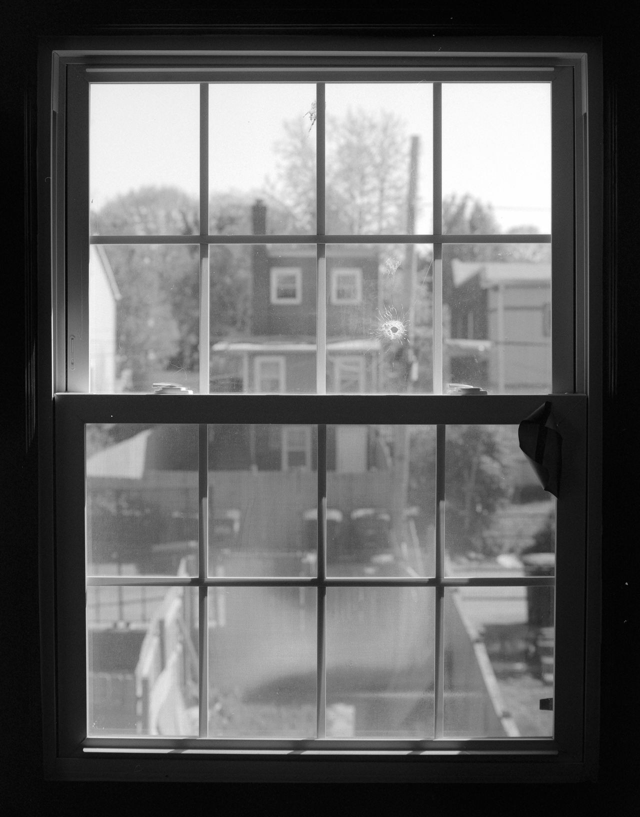 Kodak T Max10020220420 05 positive small