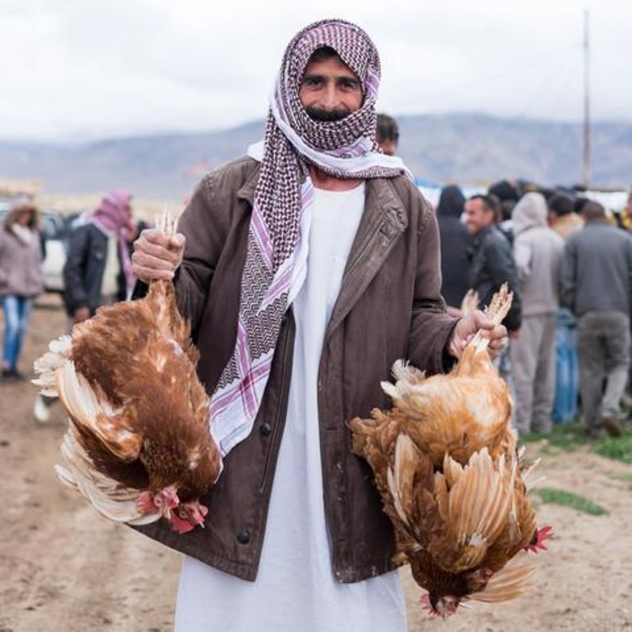 Plcchickens