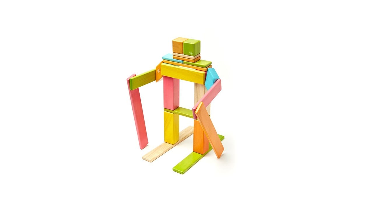 Tegu 24 Piece2