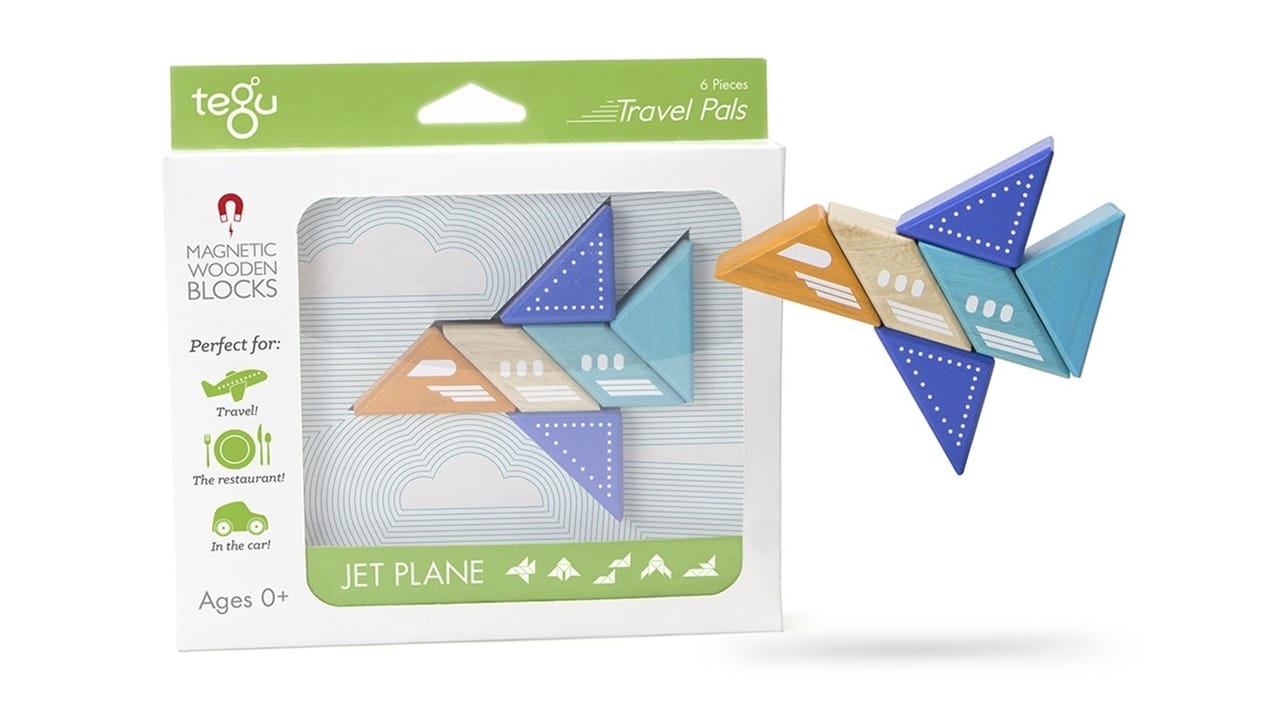 Tegu Jet Plane
