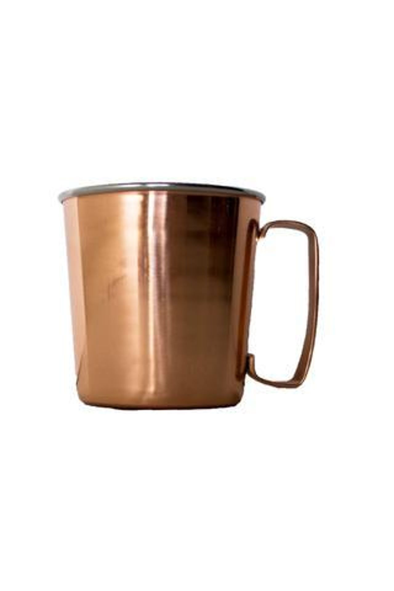 Accompany Mule Mug