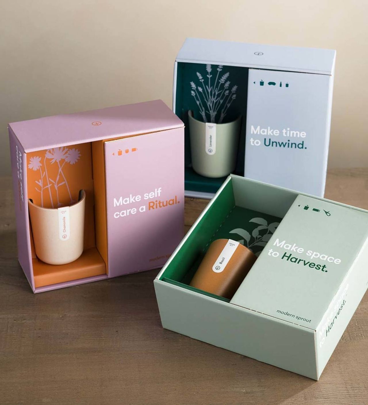 Viva Terra Plant Gift Boxes