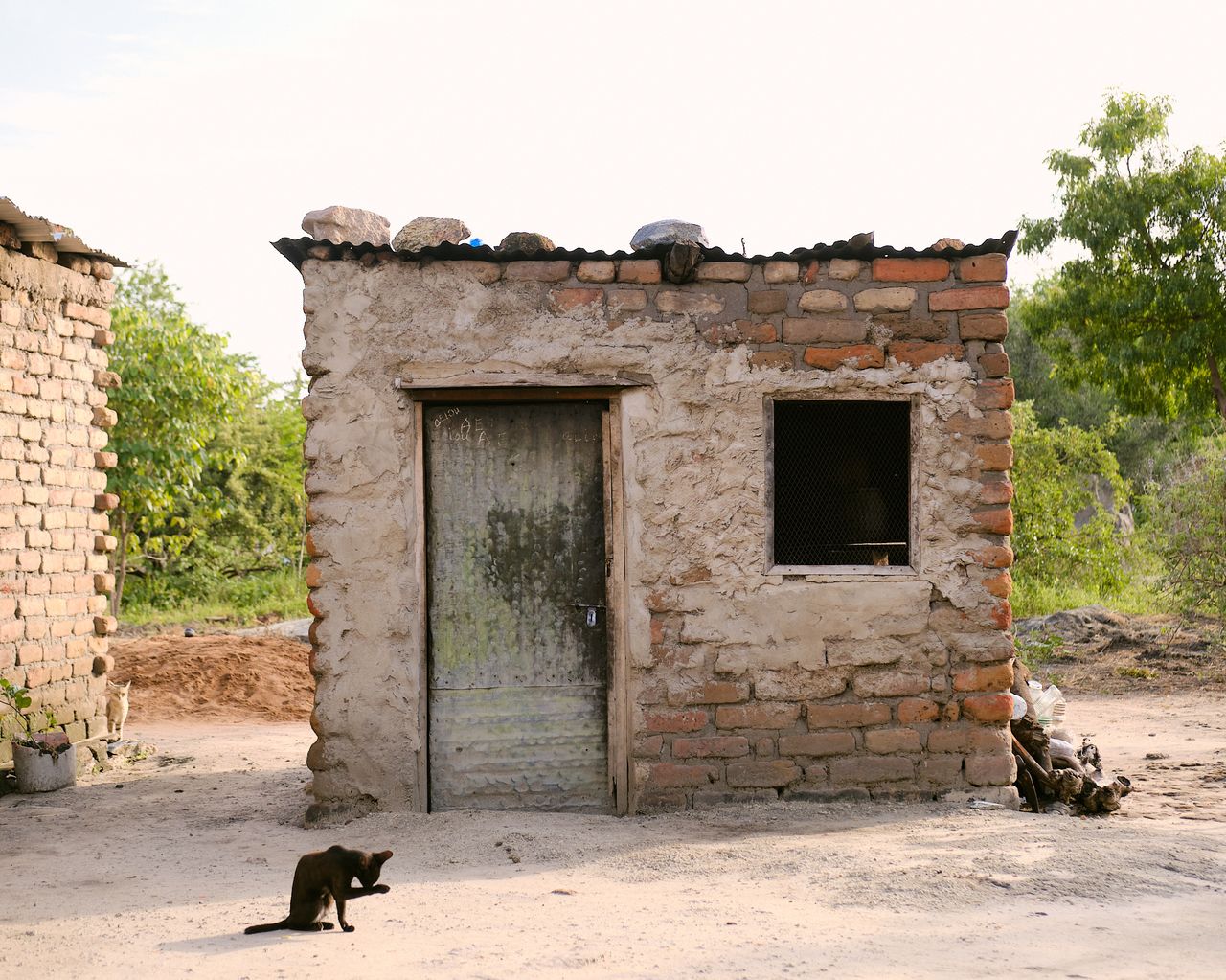 Solar Sister Tanzania 2023 SM 56