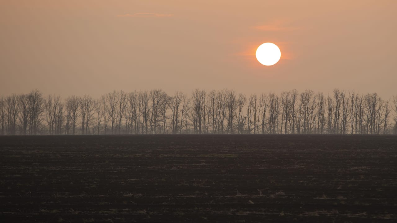 5 N5 A4705 cropped HR