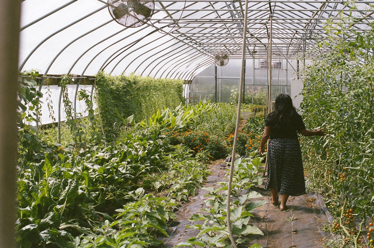 Kodak 400 c 41 9325 103501 231633 002309150005