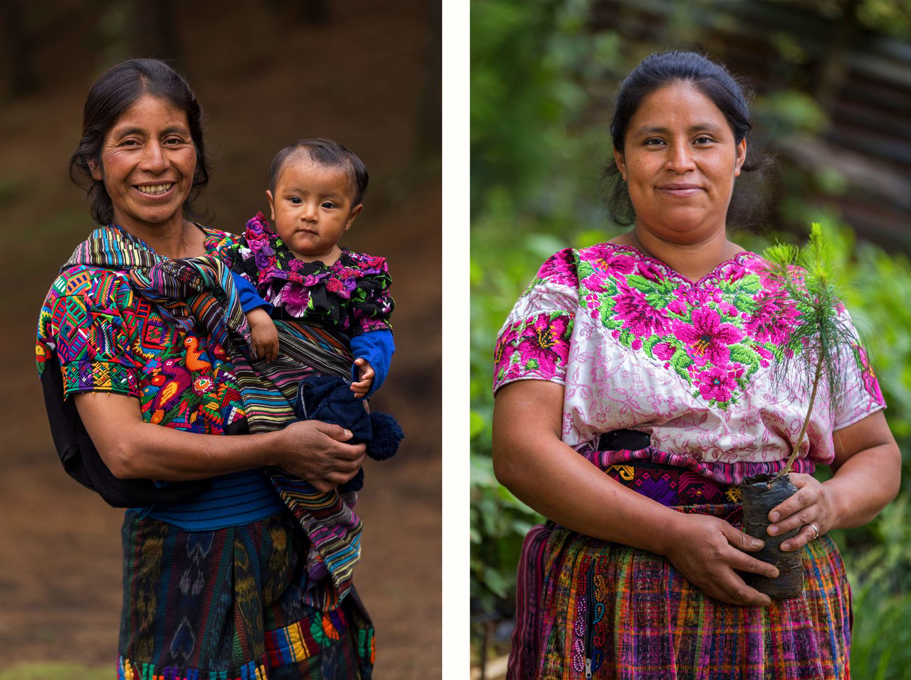 2025 Steve Jeter Guatemala AMA DIPTYCH6 FULL